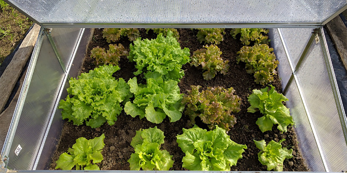 IV gamma, la qualità sotto i riflettori delle luci a Led